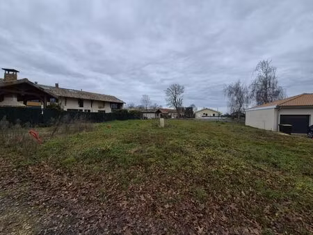 vente terrain 600 m² saint-nizier-le-désert (01320)