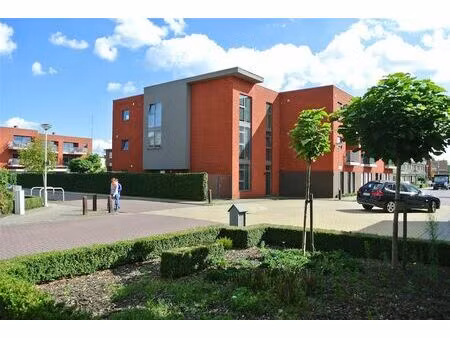 appartement te huur in ekeren met 3 slaapkamers