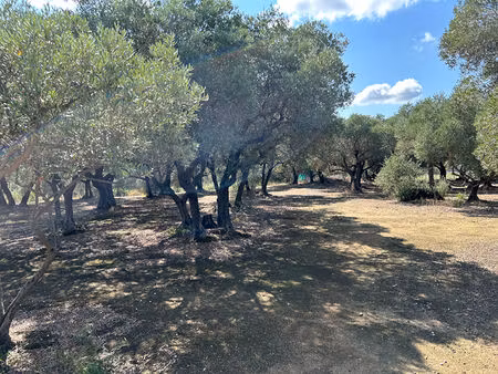terrain agricole secteur etang de l'olivier istres 2945 m2