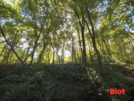 achat terrain 10 680m² la vicomte sur rance 22690