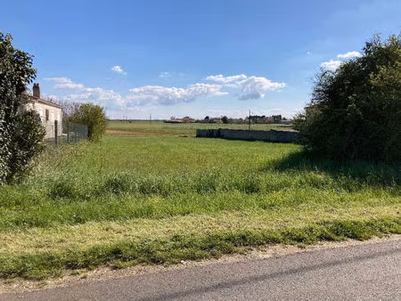 vente terrain 600 m² champagnolles (17240)