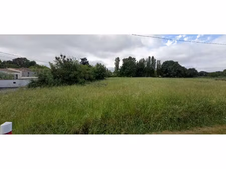 vente terrain 800 m² la clisse (17600)