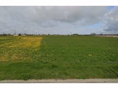 vente terrain 378 m² nieulle-sur-seudre (17600)