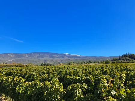 grande maison traditionnelle dans un cadre verdoyant