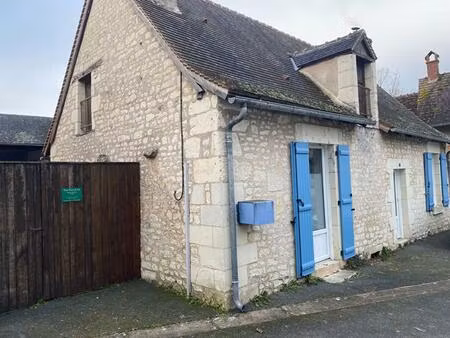 maison martizay 7 pièce(s) 240 m2