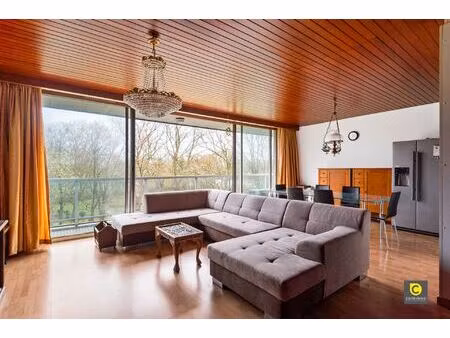 appartement te koop in berchem met 4 slaapkamers