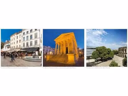 achat : appartement (30230)