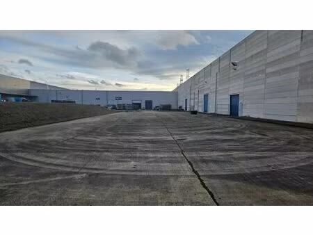 logistieke unit + kantoren te zele