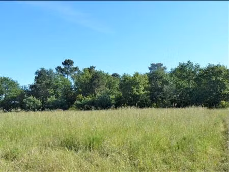 terrain à bâtir à la brède (33650)