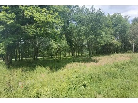 terrain à bâtir à léognan (33850)