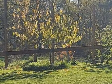 terrain à bâtir à louchats (33125)