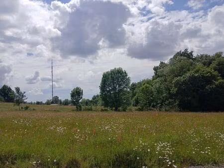 terrain à bâtir à bouliac (33270)
