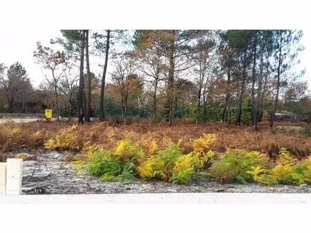 vente terrain 817 m² saint-magne (33125)