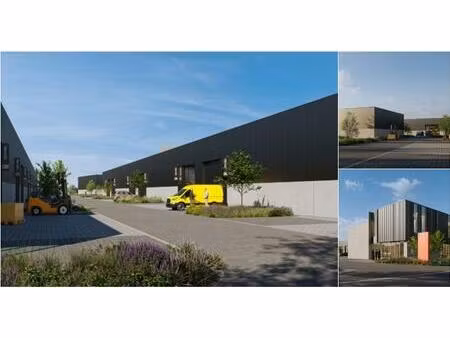 surface industrielle à vendre à willebroek (rbu96782)