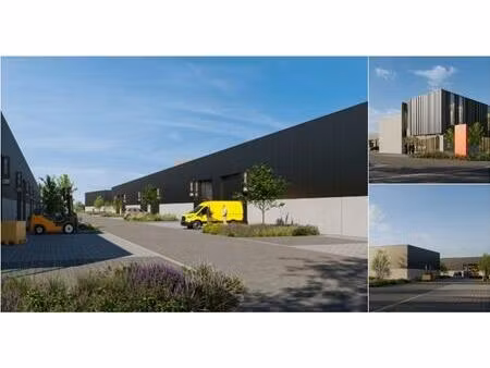surface industrielle à vendre à willebroek (rbu96784)