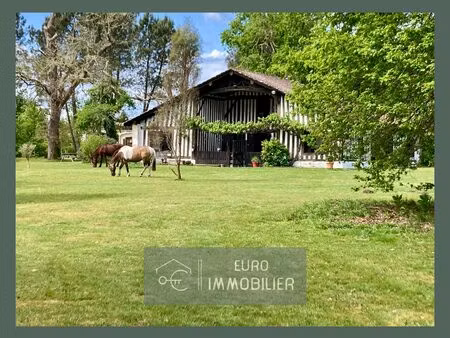 landaise authentique - gite - 7ha - piscine - airial - landes (4