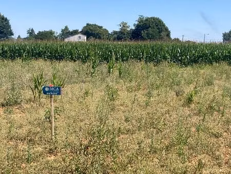 terrain à bâtir à balanzac (17600)