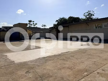 local d'activite a louer