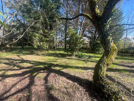 achat terrain 2 912m²