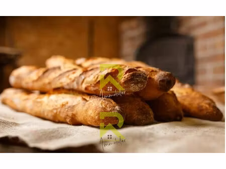 vente commerce 4 pièces 250 m² agde (34300)