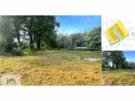 terrain à bâtir à vendre à tenrijt lot 1 houthalen-helchteren (rbu97264)