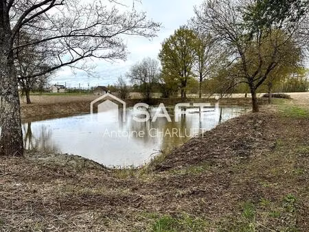 vente terrain 2892 m² saulnay (36290)