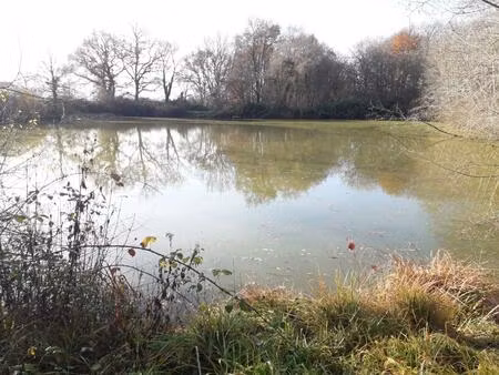 vente terrain 5640 m² saint-romain-sur-cher (41140)