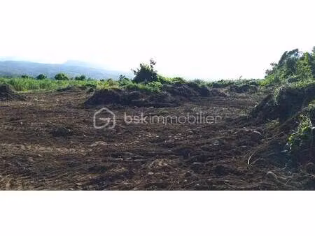 terrain constructible viabilisé à vendre