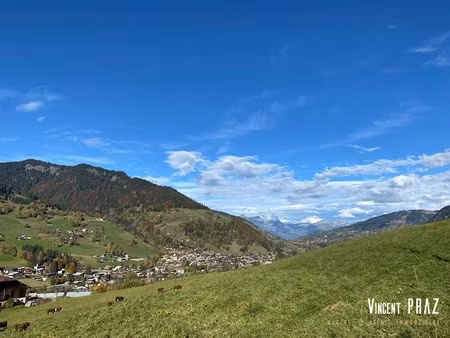 vente chalet 8 pièces 225 m² à praz-sur-arly (74120)  2 290 000 €