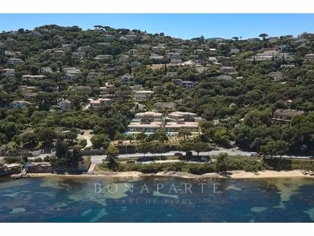 exclusivite : magnifique