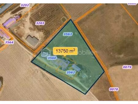 françoise cazorla bsk immobilier