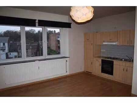 appart 1 chambre très lumineux  séjour cuis éq  sdb  hall.