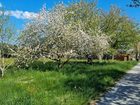 vente terrain à bâtir 2 212 m²