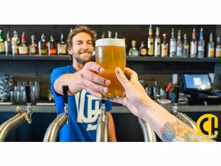 fonds de commerce bar  brasserie lyon