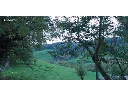 terrain constructible