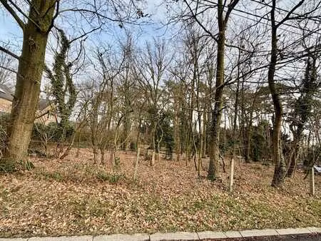 beau terrain arboré