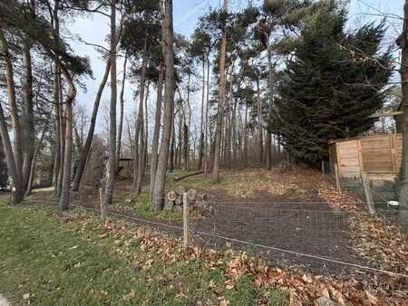 beau grand terrain constructible et boisé