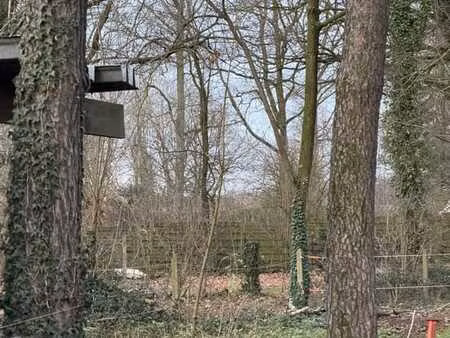 beau petit terrain constructible et boisé