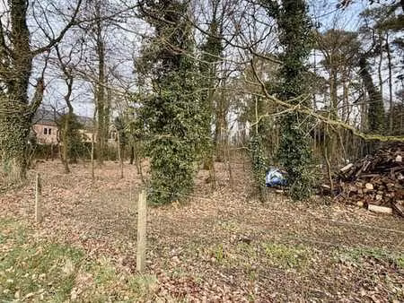 beau petit terrain constructible et boisé
