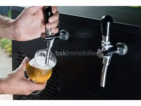 paulo pires videira bsk immobilier