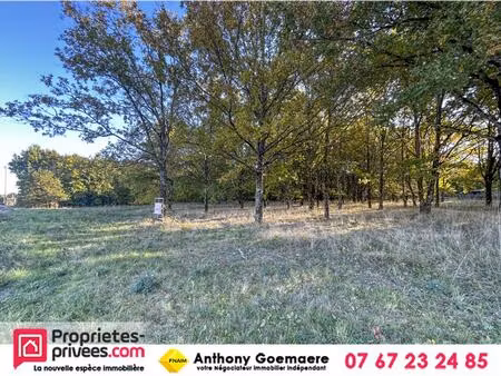 achat terrain 17 400m² langon 41320
