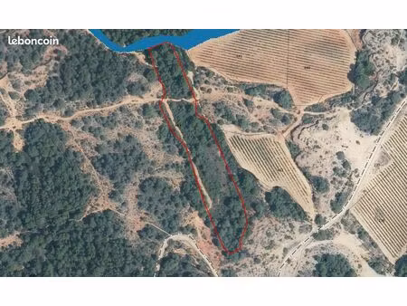 vente parcelle - castelnau-de-guers (34) - appel d'offre