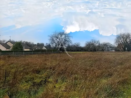 vente terrain 1641 m² à le controis-en-sologne (41700)  38 000 €