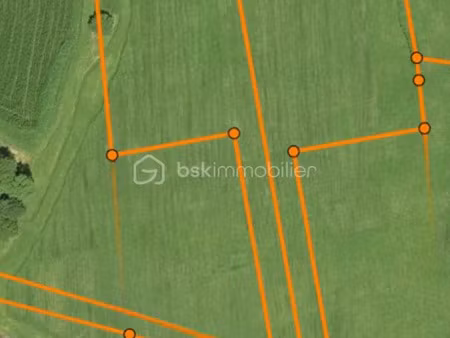 vente terrain 2223 m² à carrouges (61320)  39 000 €