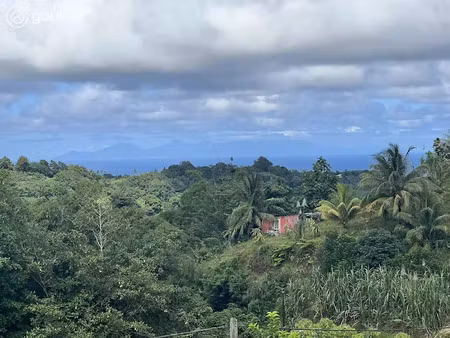 vente terrain 2290 m² à le lorrain (97214)  66 000 €