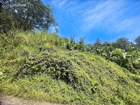 vente terrain 8530 m² à le lorrain (97214)  75 900 €