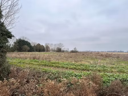 vente terrain 2300 m² à mont-bernanchon (62350)  70 500 €