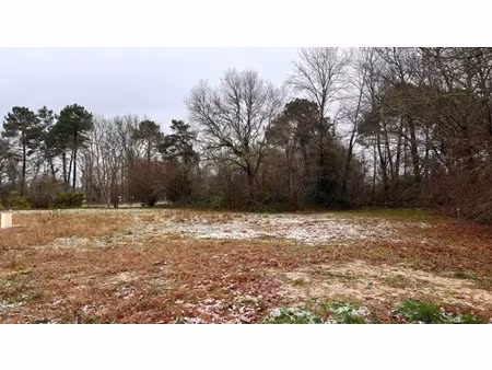 vente terrain 1090 m² à saint-maixant (33490)  69 000 €