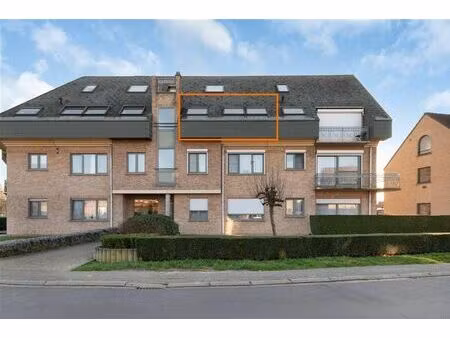 studio à louer   dilbeek (rbu97384)