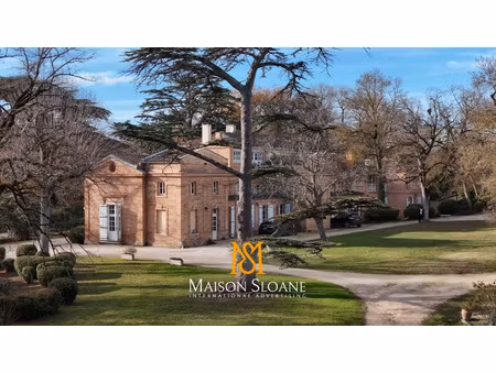 château xixème sur 9 ha avec vue pyrénées